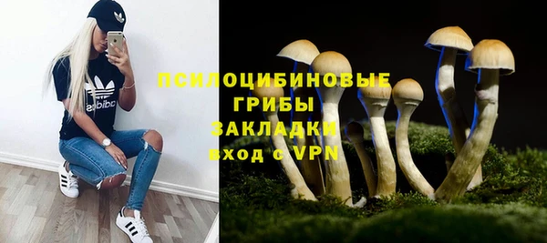 ПСИЛОЦИБИНОВЫЕ ГРИБЫ Абаза