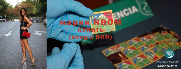 ПСИЛОЦИБИНОВЫЕ ГРИБЫ Абаза