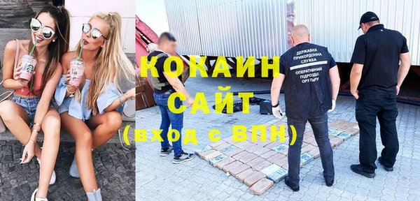 ПСИЛОЦИБИНОВЫЕ ГРИБЫ Абаза
