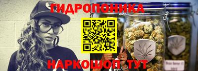 ГАЛЛЮЦИНОГЕННЫЕ ГРИБЫ Камышлов