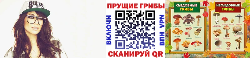 Галлюциногенные грибы GOLDEN TEACHER  МЕГА ONION  Магнитогорск 
